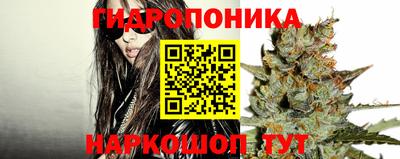 мяу мяу мука Абакан