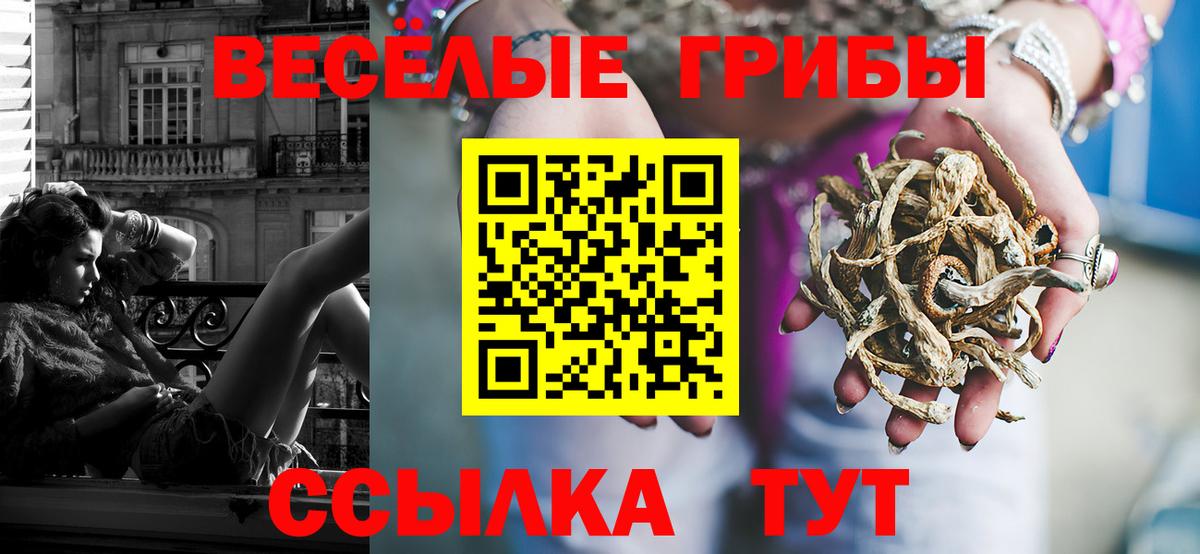 Галлюциногенные грибы Magic Shrooms Алексеевка
